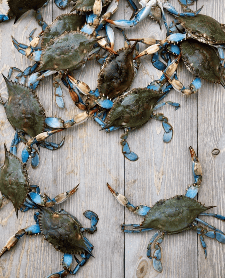 Table of steamed Maryland blue crabs with mallets and Old Bay at a West Ocean City crab house