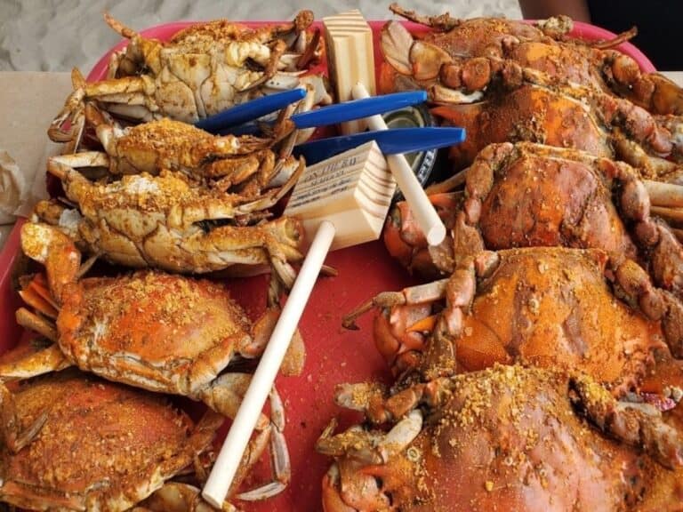 Steamed Maryland blue crabs with Old Bay seasoning at On The Bay Seafood in Ocean City