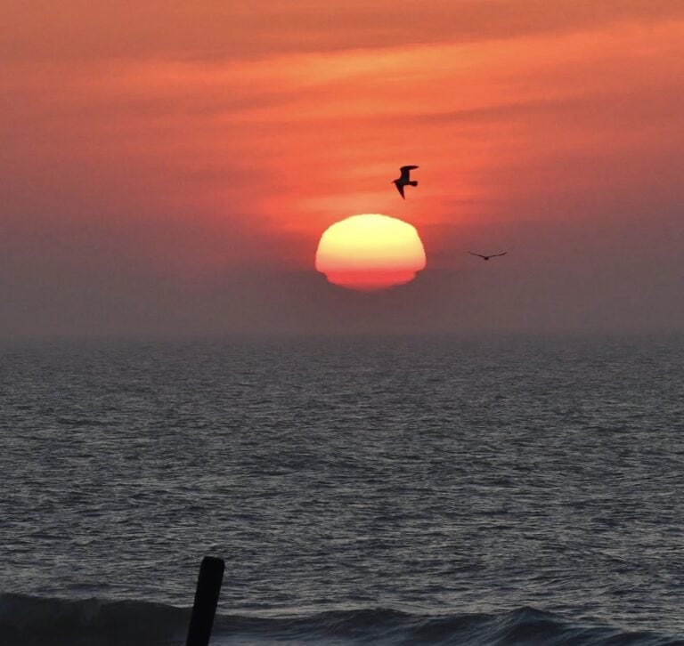 Sunrise over the ocean with seagulls flying in Ocean City, Maryland