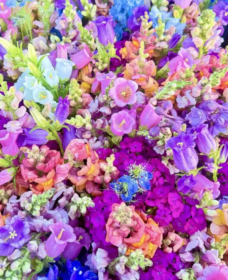 Colorful mixed flower bouquet from Assateague Farm in Berlin, Maryland