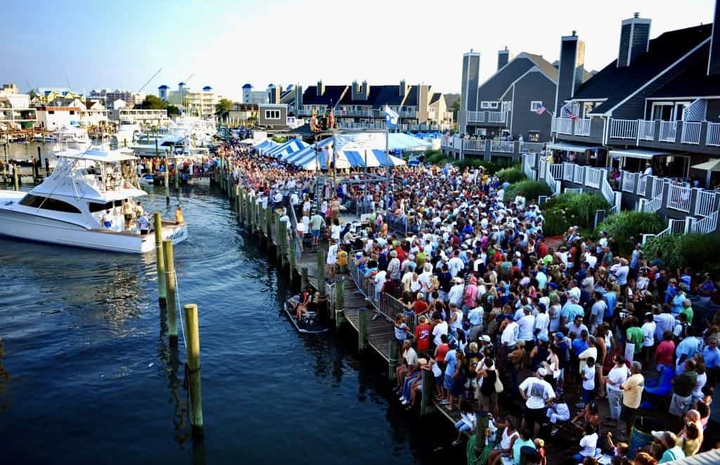 Massive crowd lining the dock at Harbour Island Marina to watch White Marlin Open weigh-ins in Ocean City, Maryland