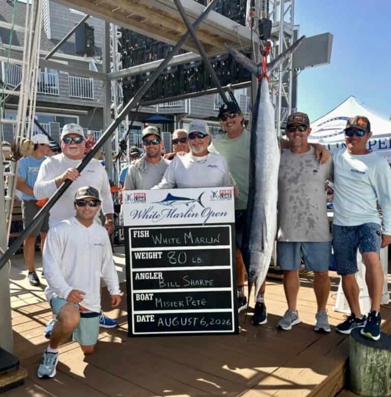 Bill Sharpe and the Mister Pete crew with an 80-pound white marlin at the White Marlin Open 2026 weigh-in in Ocean City, MD